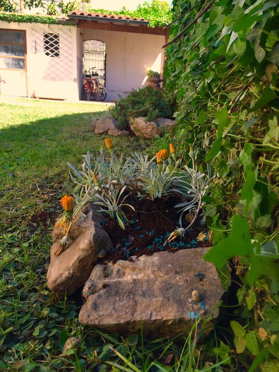 Harmony House Prestige Bed & Breakfast Pisa Dış mekan fotoğraf